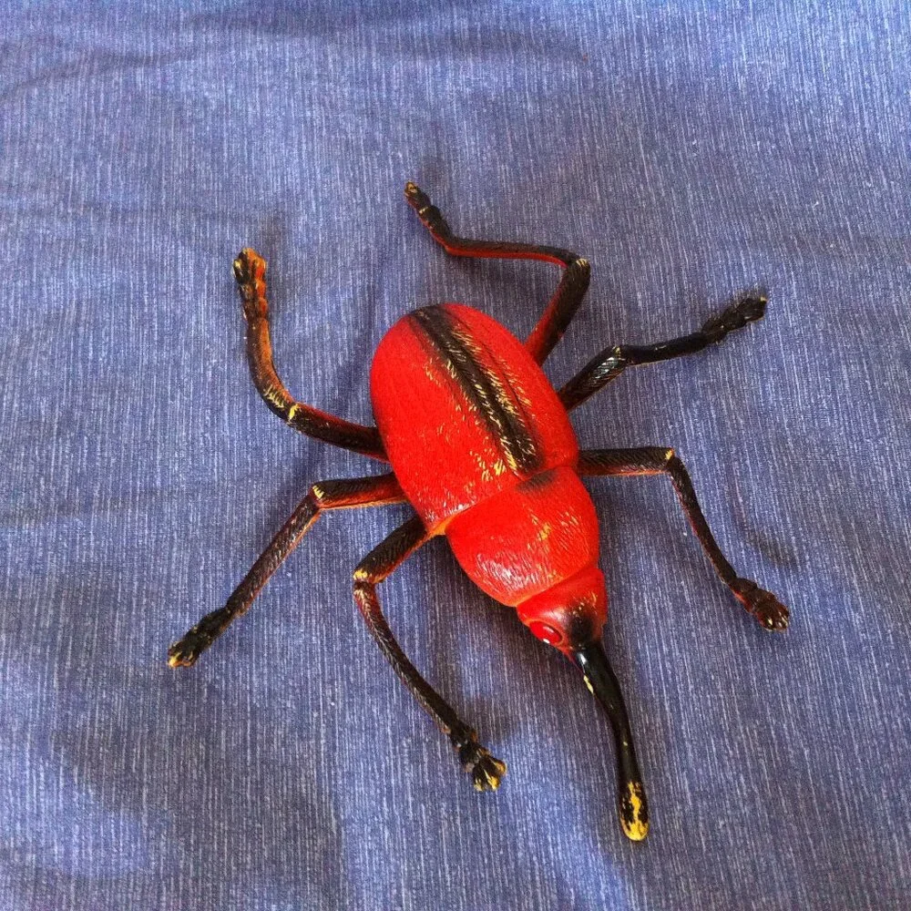Red Plastic Beetle 7
